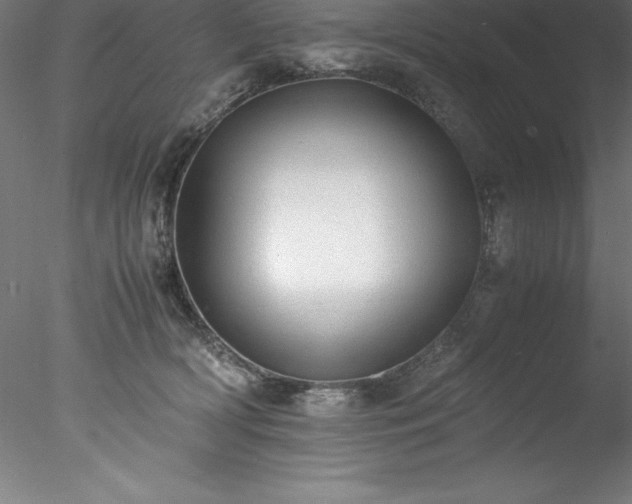 X0000078020418200611031501