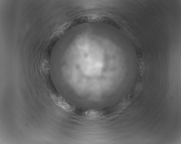 X0000078020419200611031501