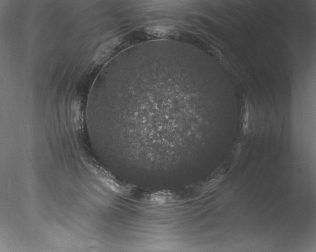 X0000078020420200611031501