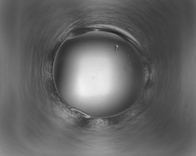 X0000078020421200611031501