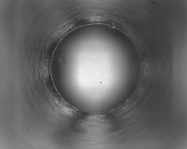 X0000078020422200611031501