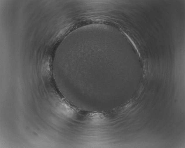 X0000078020424200611031501