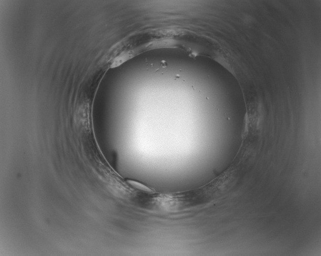 X0000078020425200611031501