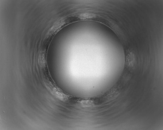 X0000078020426200611031501