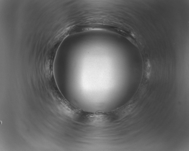 X0000078020428200611031501