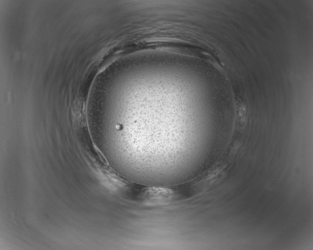 X0000078020429200611031501