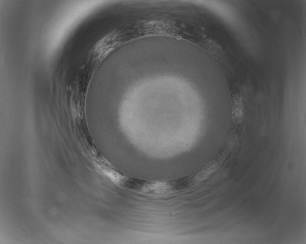 X0000078020431200611031501