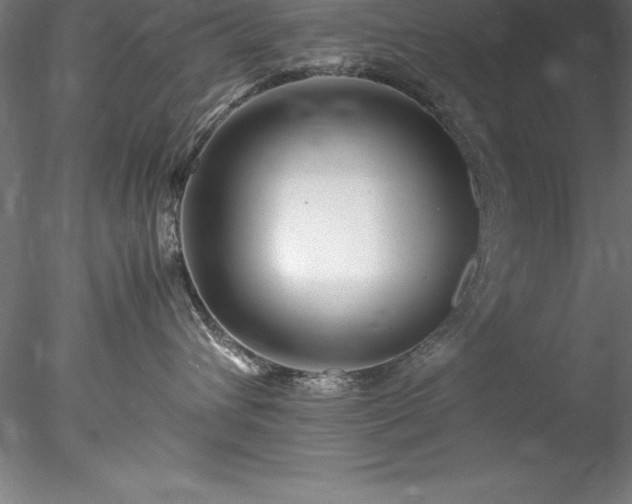 X0000078020432200611031501