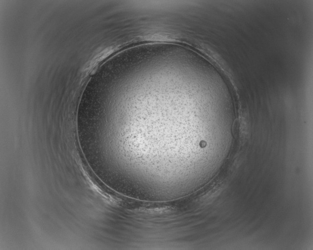 X0000078020433200611031500