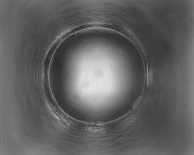 X0000078020435200611031500