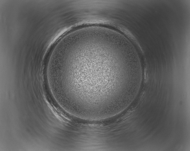 X0000078020436200611031500