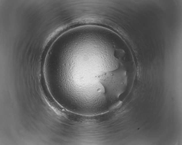 X0000078020438200611031500