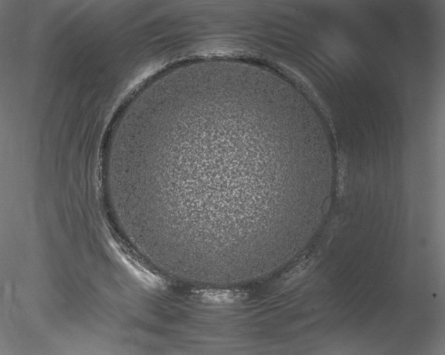 X0000078020439200611031500