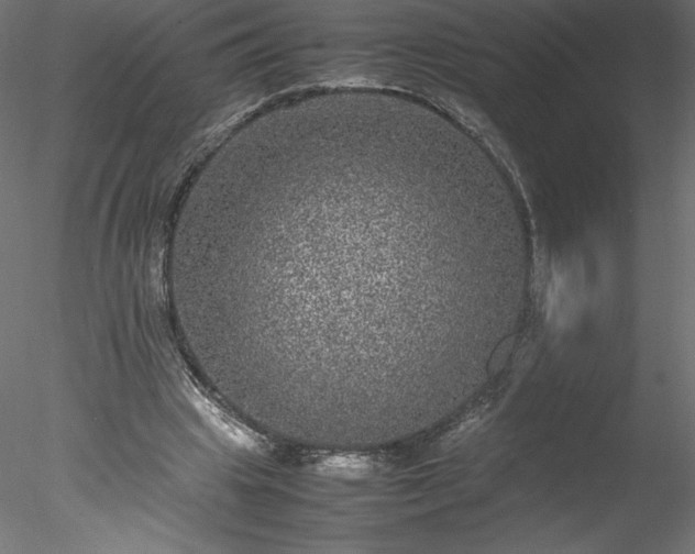 X0000078020441200611031500