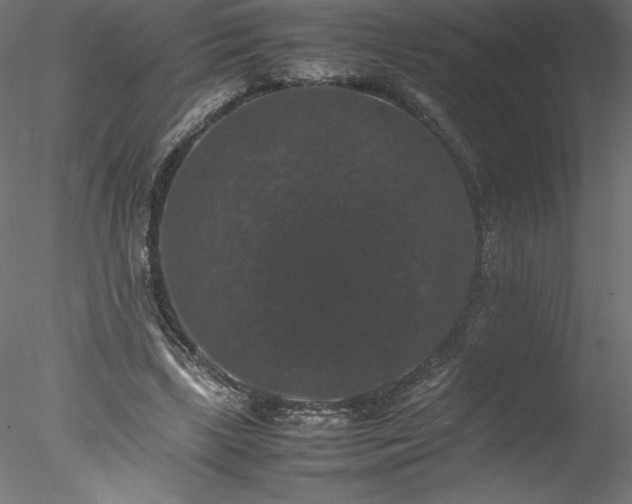 X0000078020443200611031500