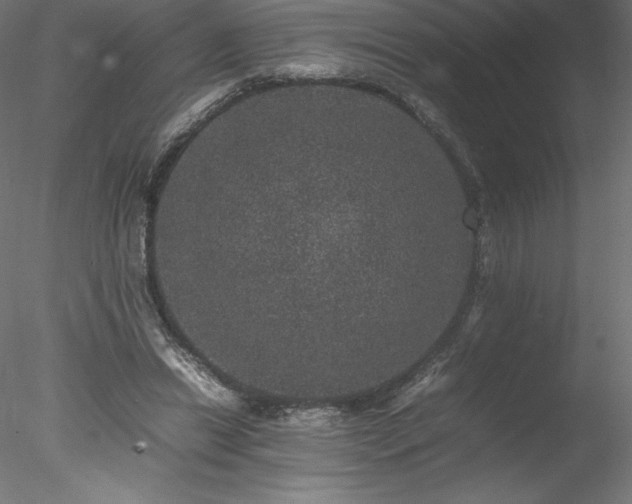 X0000078020446200611031500