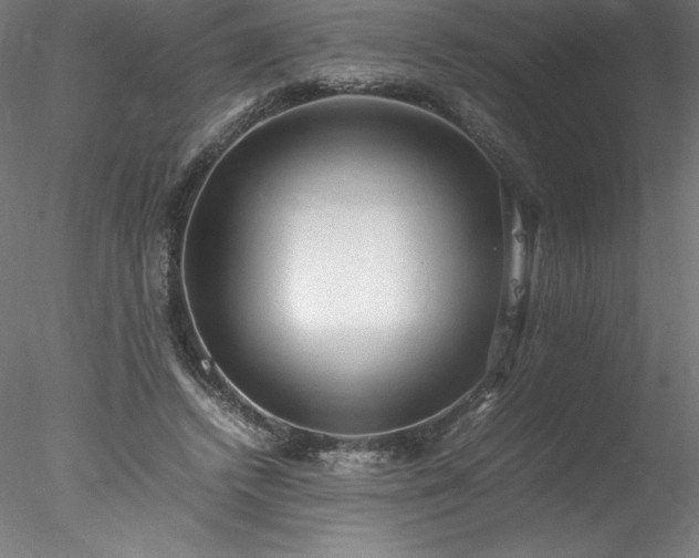 X0000078020448200611031500