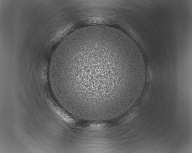 X0000078020450200611031500