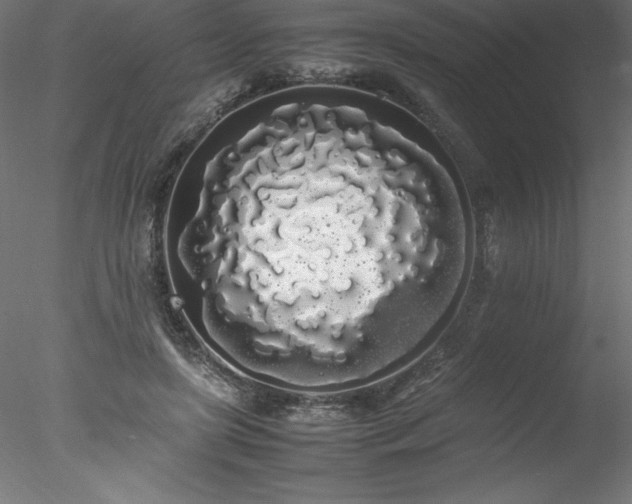 X0000078020451200611031500