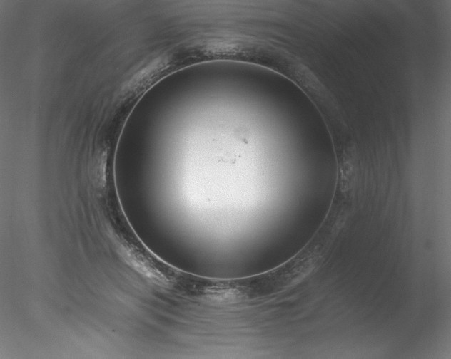 X0000078020454200611031500