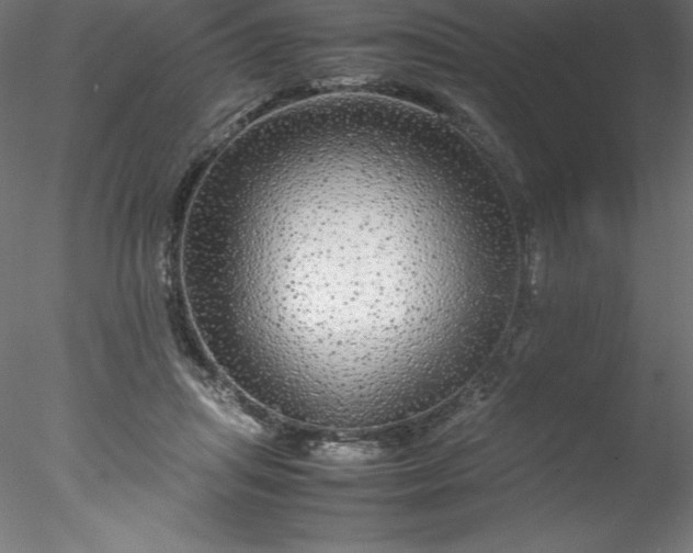 X0000078020455200611031500