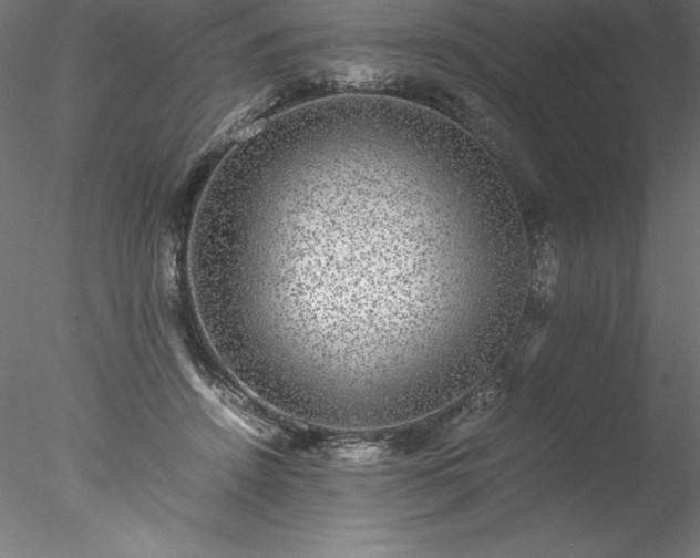 X0000078020456200611031500