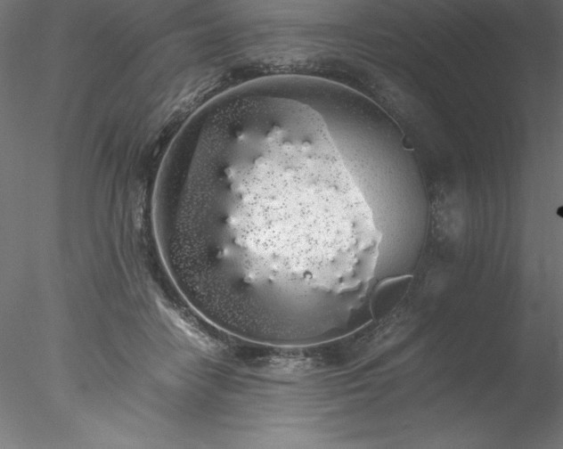 X0000078020458200611031500