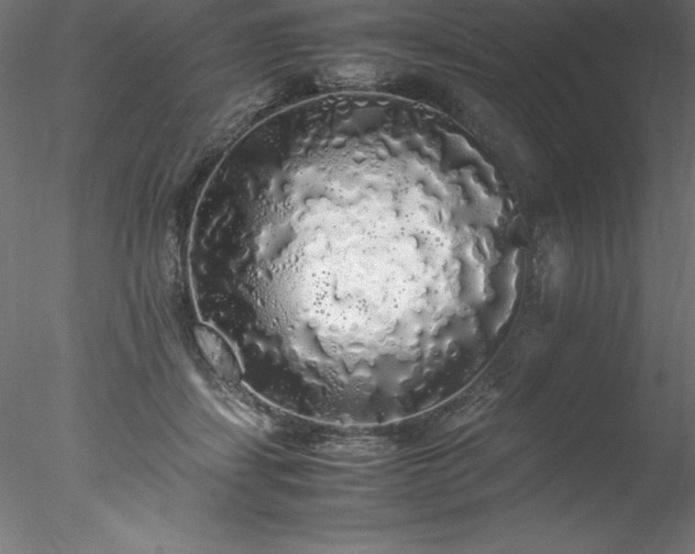 X0000078020459200611031500