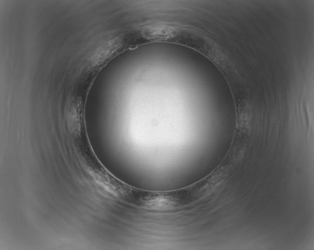 X0000078020460200611031500