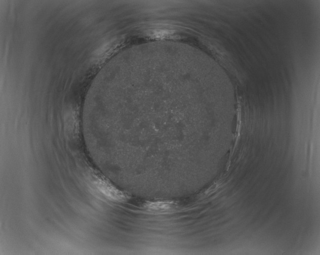 X0000078020461200611031500