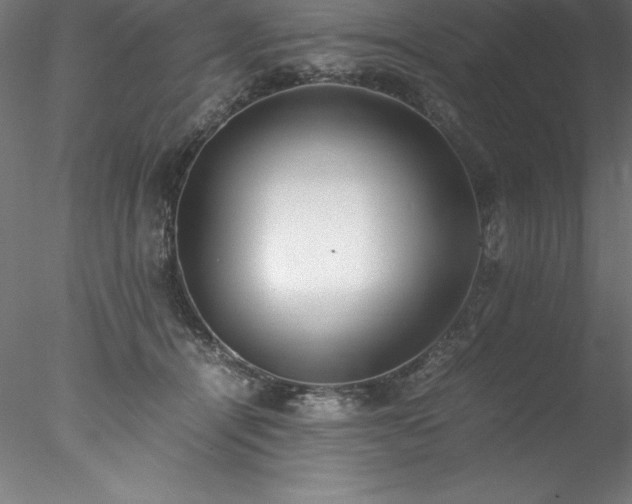 X0000078020464200611031500