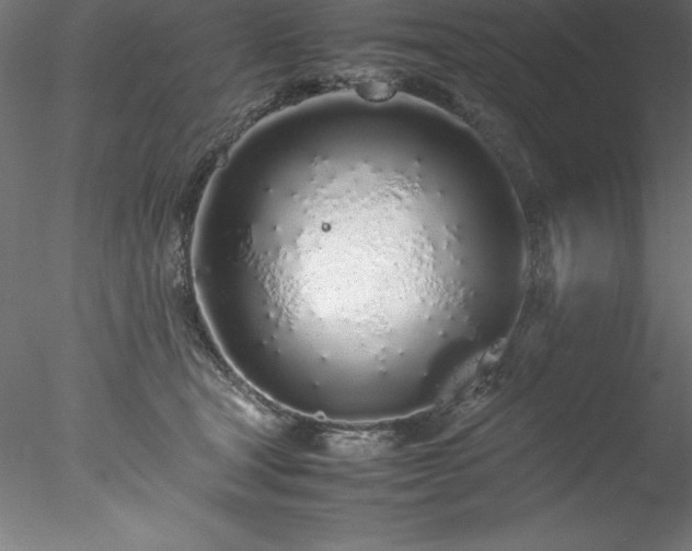 X0000078020465200611031500