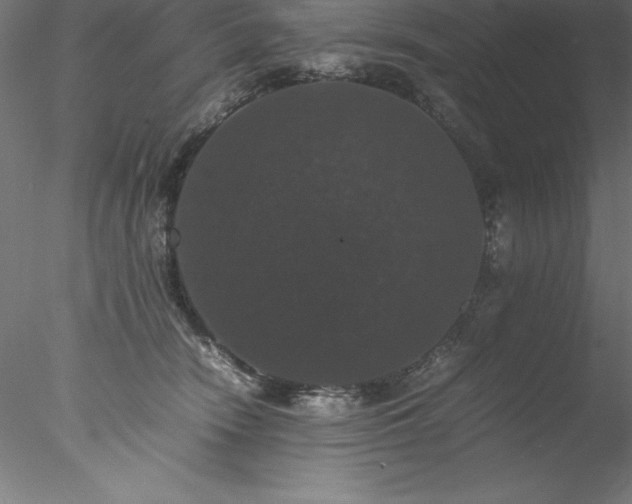 X0000078020466200611031500