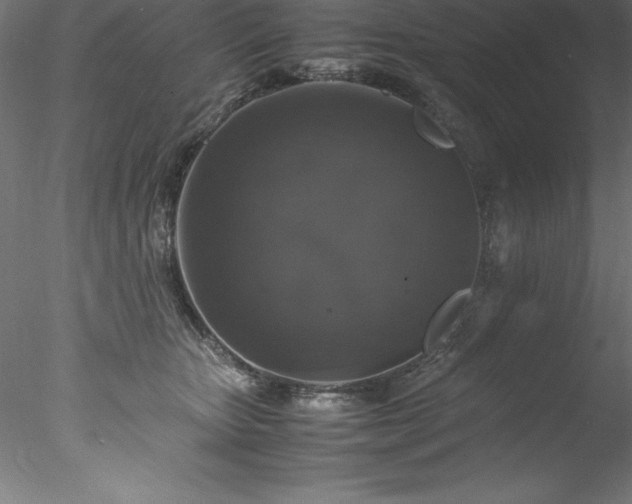 X0000078020467200611031500