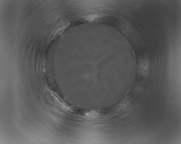 X0000078020470200611031500