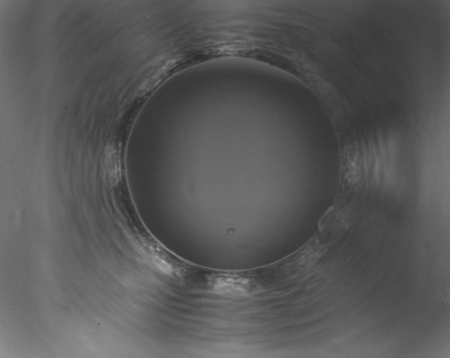 X0000078020471200611031500