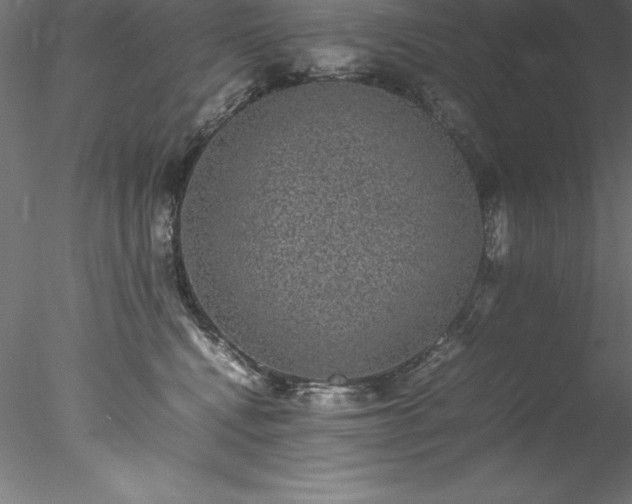 X0000078020472200611031501