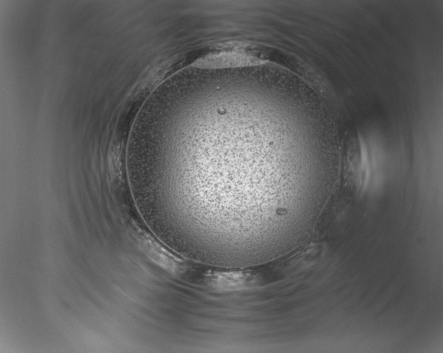 X0000078020473200611031501