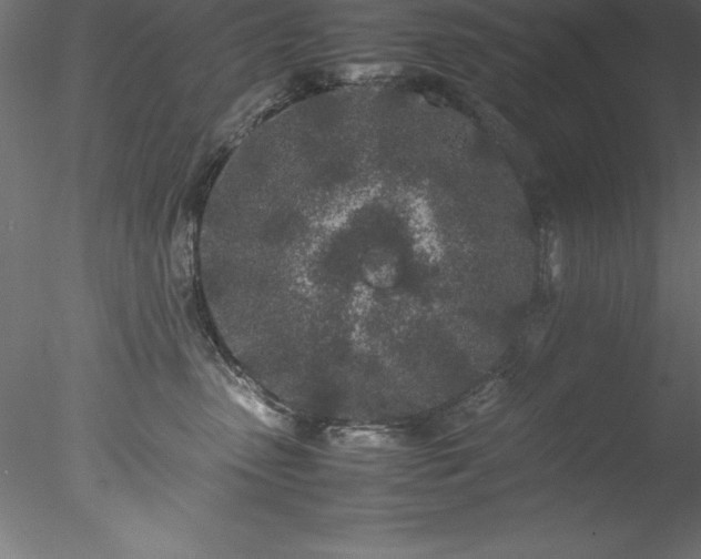 X0000078020475200611031501