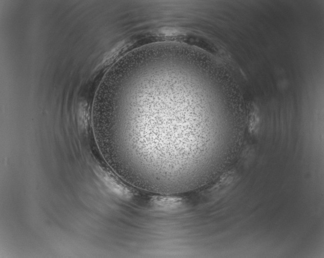 X0000078020476200611031501