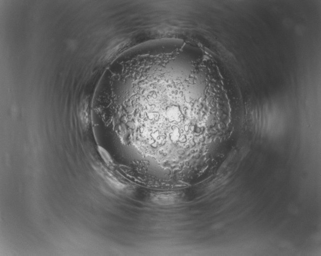 X0000078020479200611031501