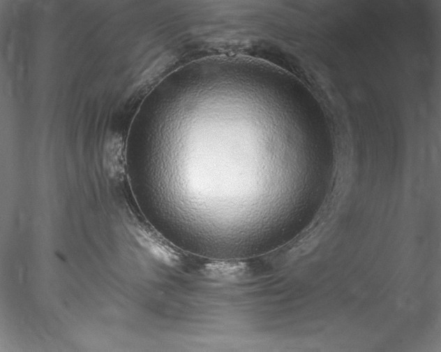 X0000078020480200611031501