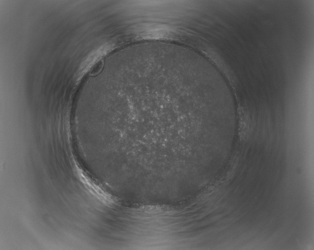 X0000078020482200611031500