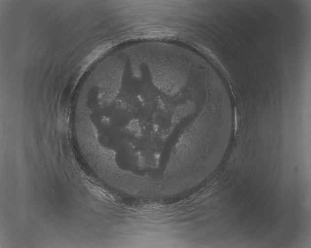 X0000078020483200611031500