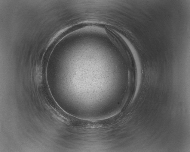 X0000078020484200611031500