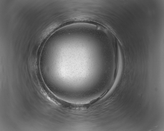 X0000078020485200611031500