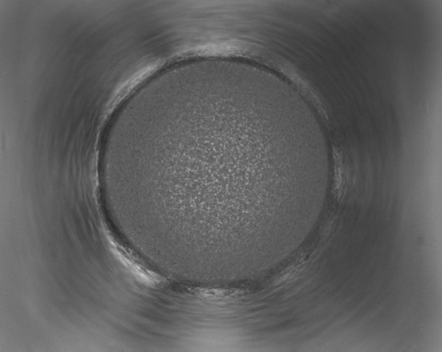 X0000078020486200611031500