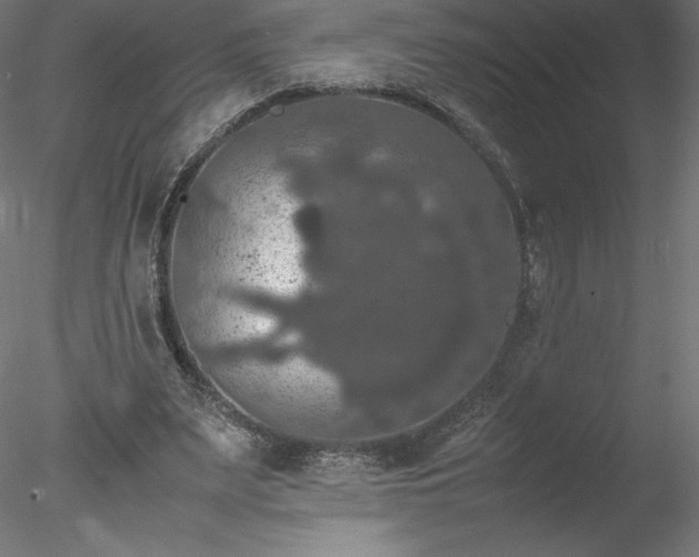 X0000078020487200611031500