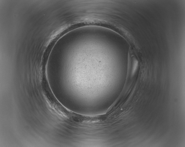 X0000078020488200611031500