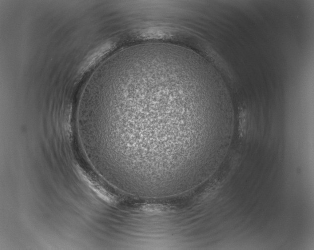 X0000078020490200611031500